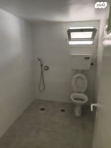 מיכאל וציפורה פינס 5