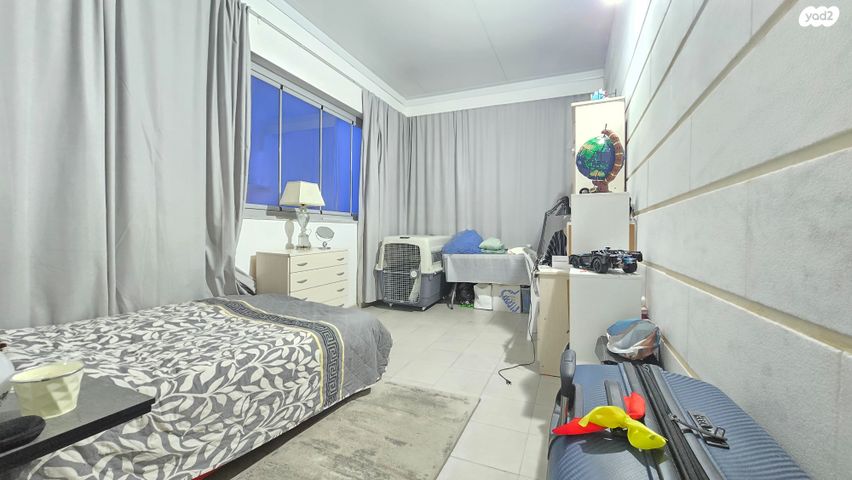 דירה, אליהו הנביא, פסגות אפק, ראש העין