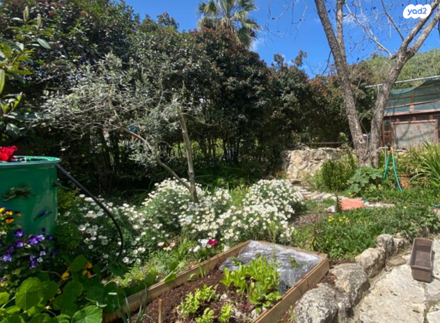 בית פרטי/ קוטג'