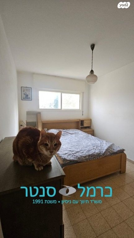 דירה, רמות רמז, חיפה