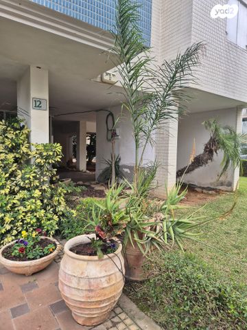 דירה, היובל, שרונה, רחובות