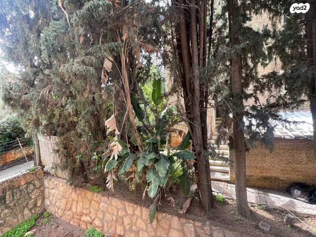 דירה, בן גוריון, רמתיים, הוד השרון