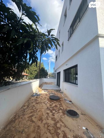 דירת גן, תל צבי, מרכז פרדס חנה, פרדס חנה כרכור