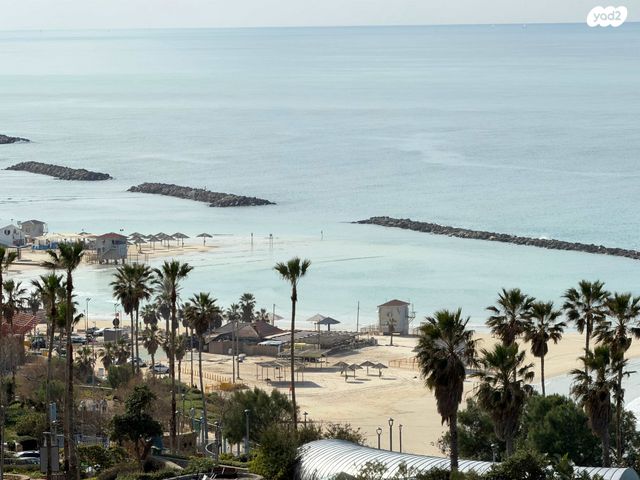 דירה, שדרות ניצה, נתניה