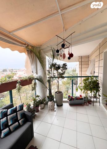 דירה, דקל, נווה סביון, אור יהודה