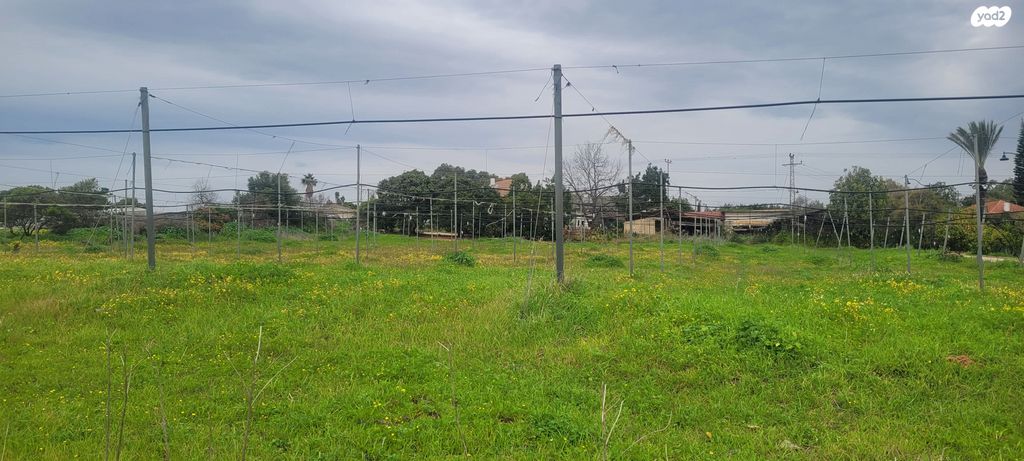 משק חקלאי/ נחלה, שדה ורבורג