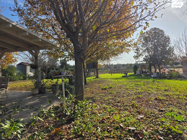 משק חקלאי/ נחלה, אלי עד