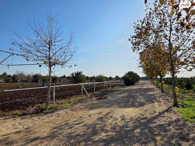 משק חקלאי/ נחלה, אלי עד