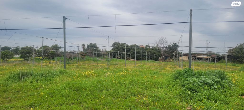 משק חקלאי/ נחלה