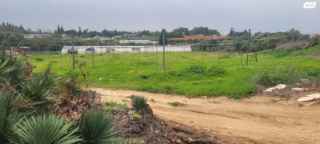 משק חקלאי/ נחלה, שדה ורבורג