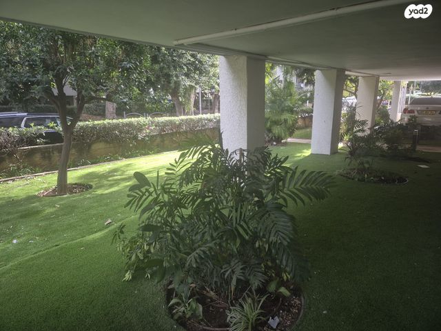 נווה דוד רמז