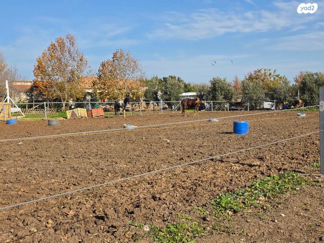 משק חקלאי/ נחלה, אלי עד