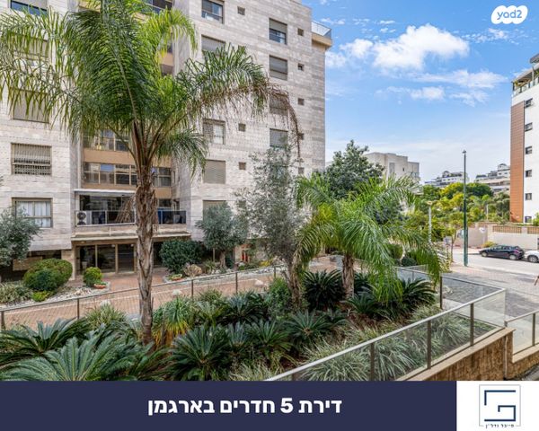 דירה, ארגמן, נס ציונה