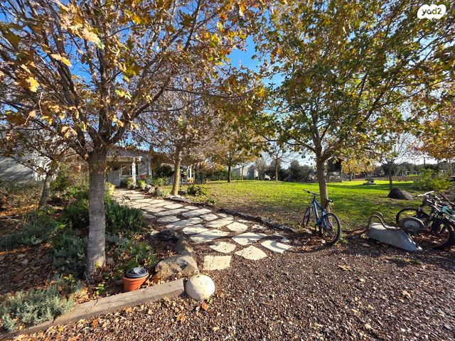 משק חקלאי/ נחלה, אלי עד