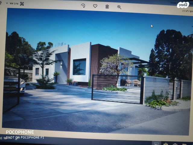 שושנה דמארי 1