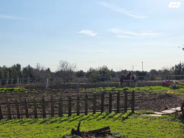 משק חקלאי/ נחלה, אלי עד