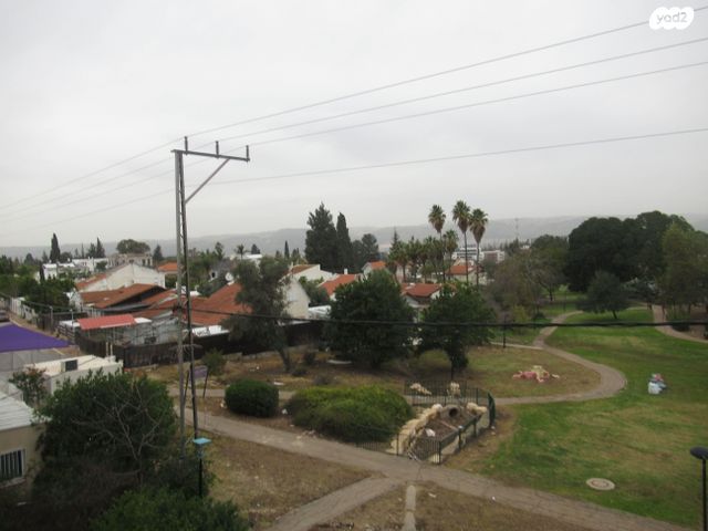 דירה, הרצל, מרכז עפולה עלית, עפולה