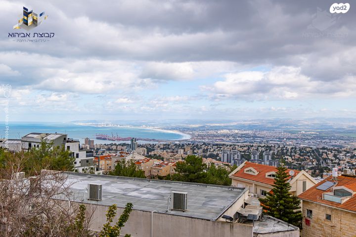 בית פרטי/ קוטג', חיפה