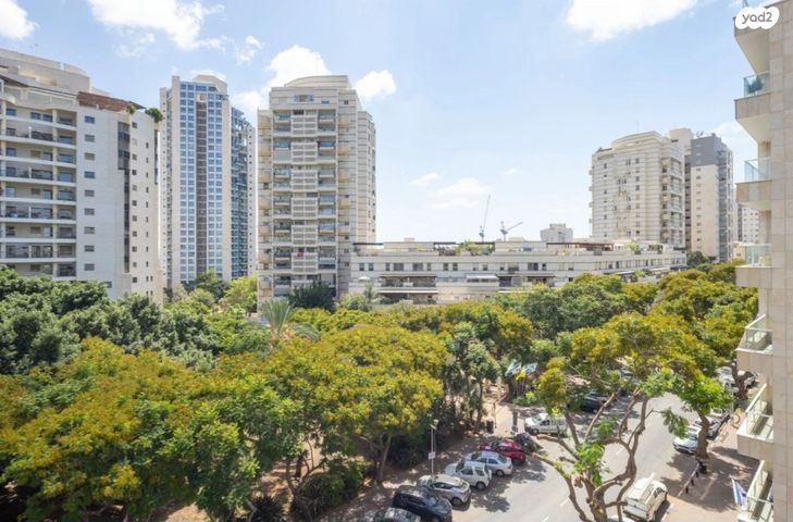 שמעון בן צבי 