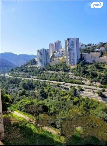 דירה, ההשכלה, גבעת נשר, נשר