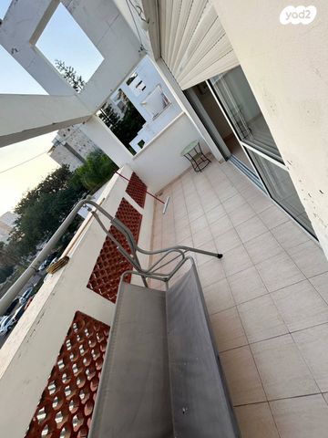 דוד וולפסון 