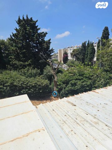 דירה, טשרניחובסקי, רמת שאול, חיפה