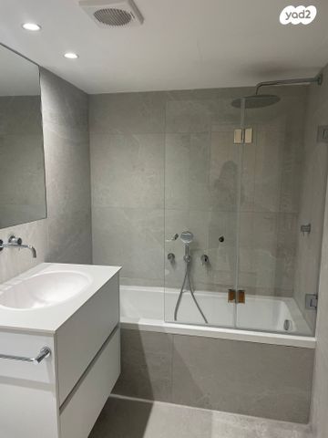 גג/ פנטהאוז, ממילא, ירושלים