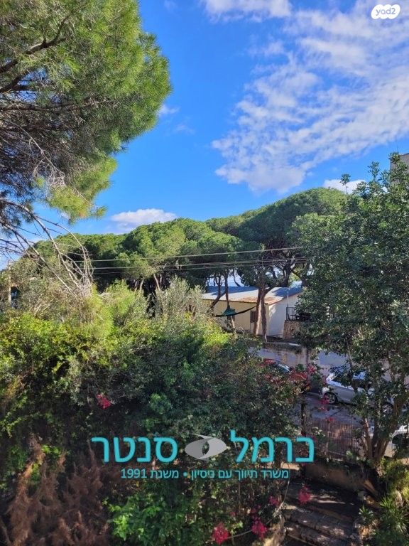 דירה, דפנה, רמת התשבי, חיפה