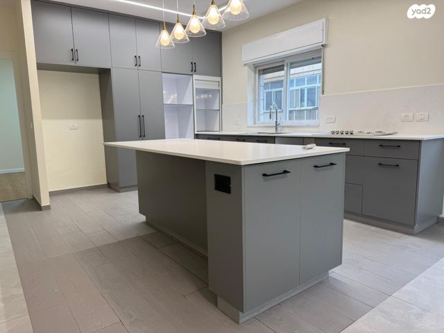 זאב ז'בוטינסקי 