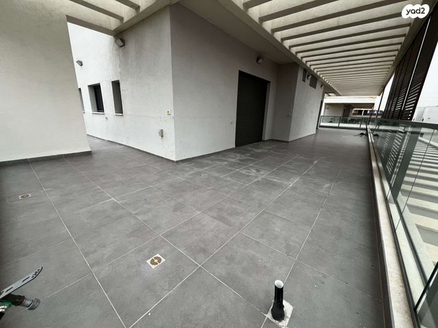 גג/ פנטהאוז, נץ, גבעת אלונים, קרית אתא