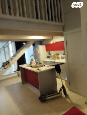 דירת גן, כיכר דיזנגוף, הצפון הישן - דרום, תל אביב יפו