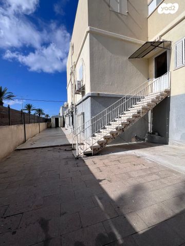 לוחמי הגטאות 