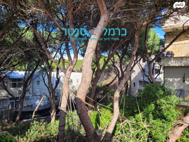 דירה, דפנה, רמת התשבי, חיפה