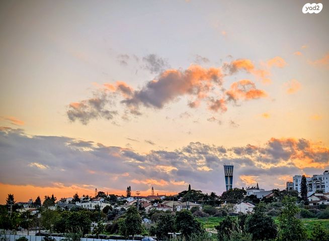 דירה, לאה גולדברג, נס ציונה