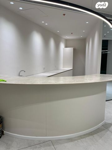 משרדים, פרופ' אברהם פצ'ורניק, נס ציונה