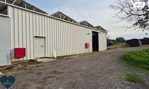 חנויות/ שטח מסחרי