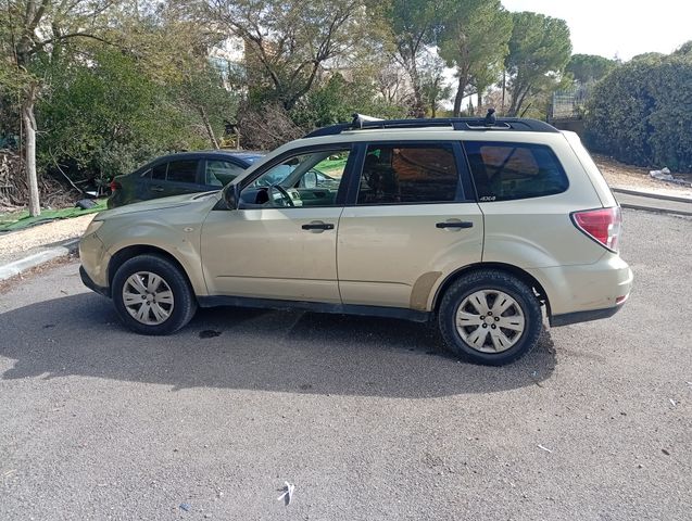 סובארו פורסטר