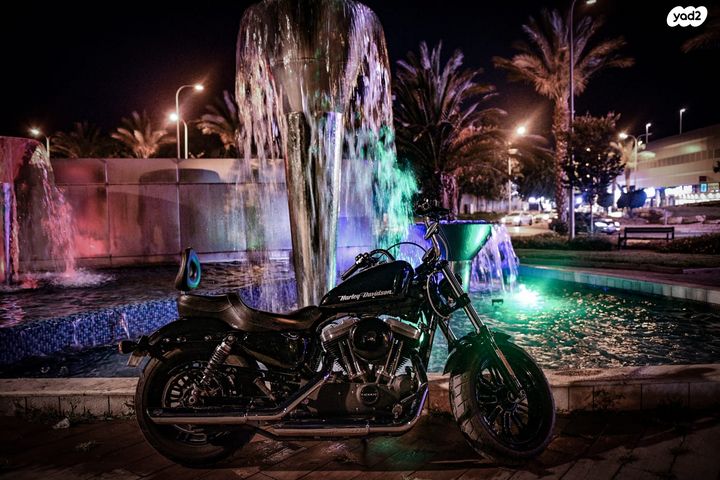 הרלי דיווידסון פורטי אייט 1202