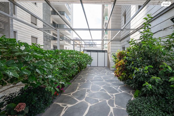 דירת גן, מלחמת ששת הימים 4, מרכז העיר, חדרה