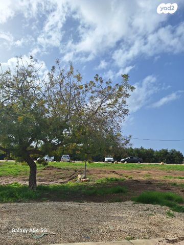 בית פרטי/ קוטג', עין כרמל, עין כרמל, עין כרמל