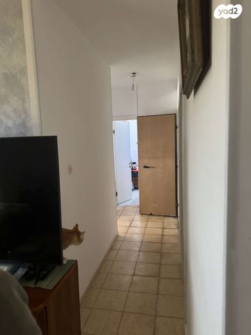 ח.מ. שפירא 43