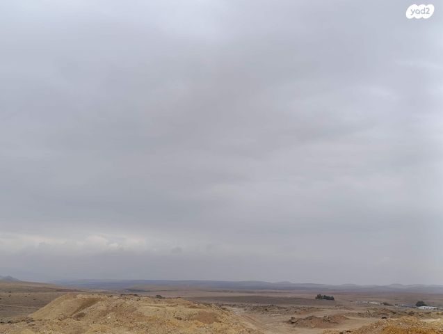 דירה, הנבל 3, השחר, דימונה