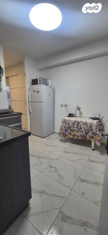 ד"ר ברויאר 13