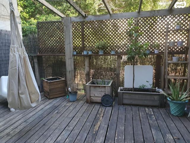 בן גוריון 117