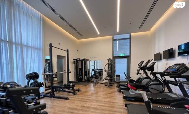 יצחק שמיר 15