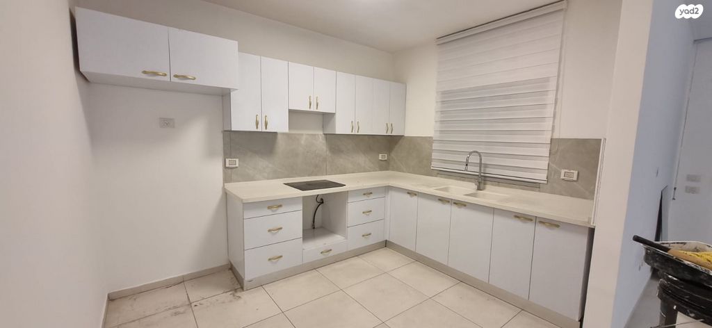 זלדה שניאורסון 2