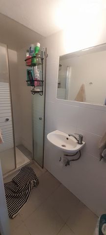 האקליפטוס 1