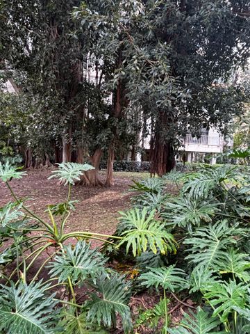 דירת גן למכירה בתל אביב יפו (תיווך) — 2