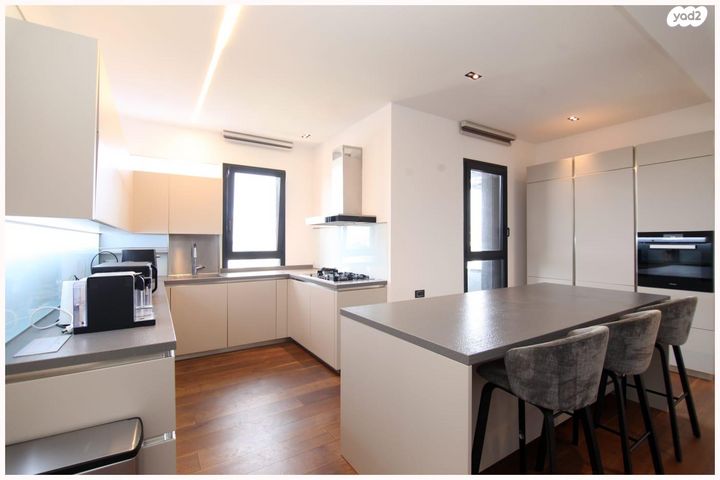 גג/ פנטהאוז, סשה ארגוב, נווה זמר, רעננה