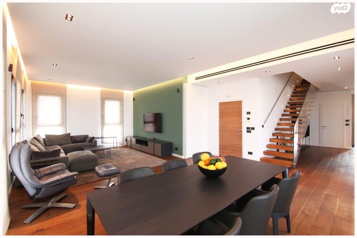 גג/ פנטהאוז, סשה ארגוב, נווה זמר, רעננה